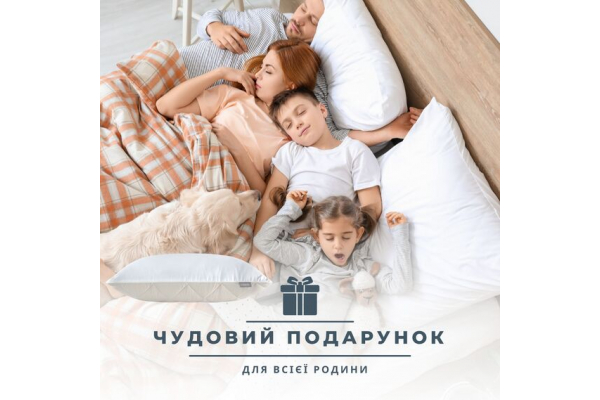 Подушка Double Chamber двухкамерная ТМ IDEIA 50х70 см св.серая/белая