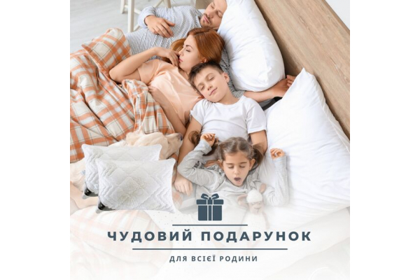 Набор подушек 2 шт Air Dream Classic IDEIA 50х70 см с молнией + ПОДАРОК дополнительный наполнитель роза