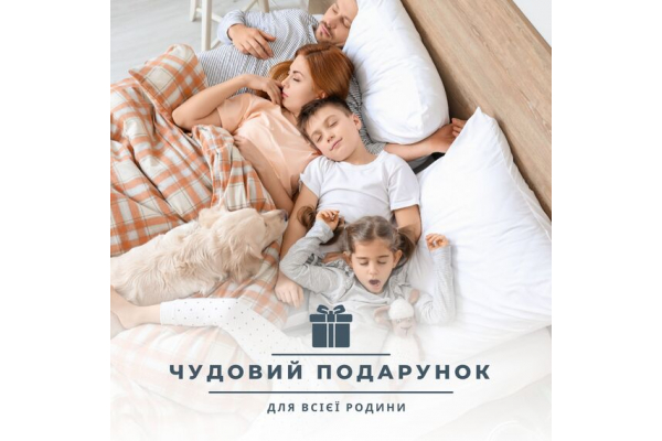 Одеяло ДобраНочь IDEIA 175х210 см зимнее антиаллергическое теплое щело 300 г/м2 белое