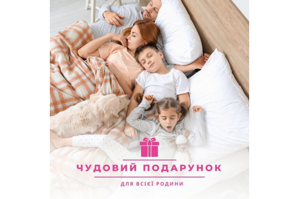 Набор подушка 50х70 см 2 шт и евро одеяло 200х220 см Elegantly IDEIA, аналог лебединого пуха, искусственный пух, мягкая подушка с молнией
