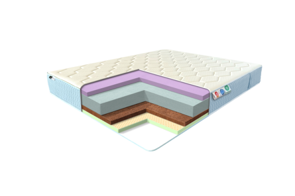 NOVUM FOAM